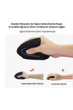 TriLine Kablosuz Ergonomik Dikey Mouse 800/1200/1600 Dpı - Görsel 7