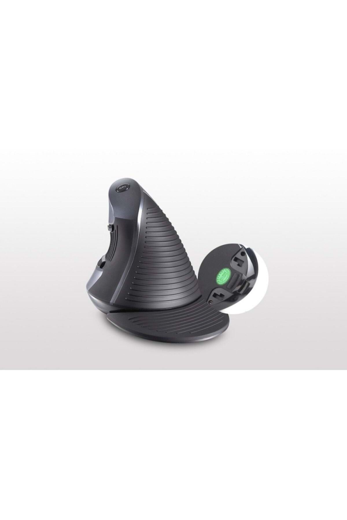 TriLine Delux M618gx Ergonomik Dikey 6 Tuşlu Kablosuz Optik Mouse
